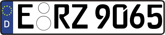 E-RZ9065