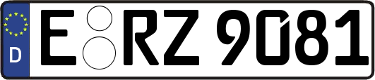 E-RZ9081