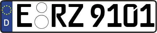 E-RZ9101