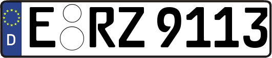 E-RZ9113