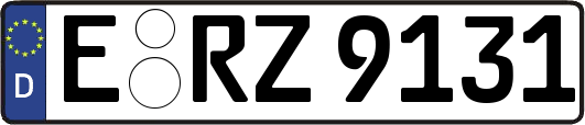 E-RZ9131