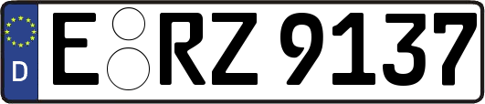 E-RZ9137