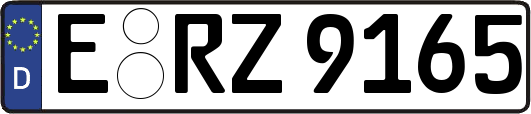 E-RZ9165