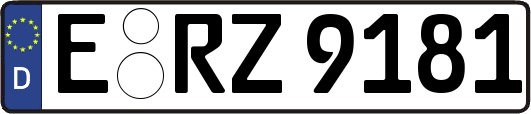 E-RZ9181
