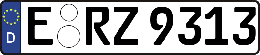 E-RZ9313