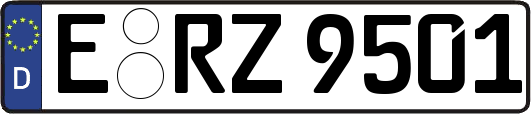 E-RZ9501