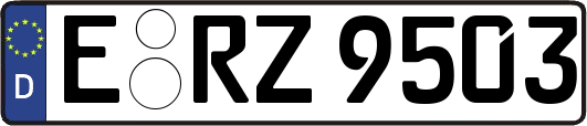 E-RZ9503