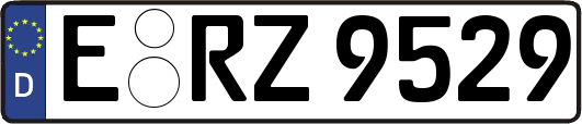 E-RZ9529