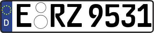 E-RZ9531