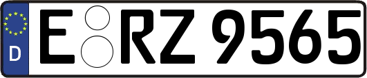 E-RZ9565