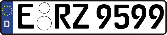 E-RZ9599