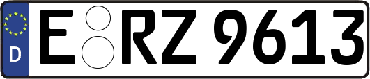 E-RZ9613