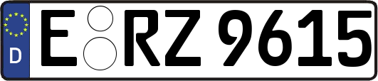 E-RZ9615