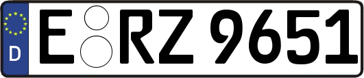 E-RZ9651