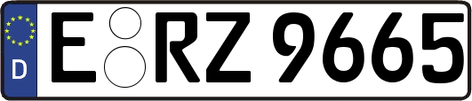 E-RZ9665