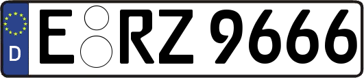 E-RZ9666