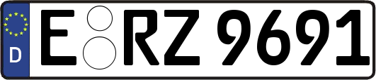 E-RZ9691