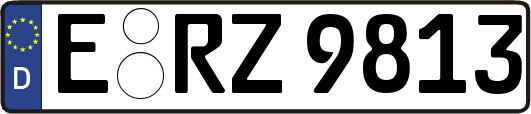 E-RZ9813