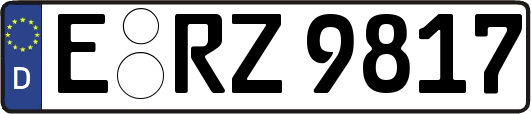 E-RZ9817