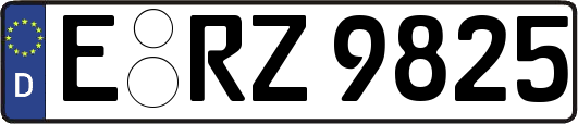 E-RZ9825