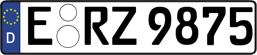 E-RZ9875