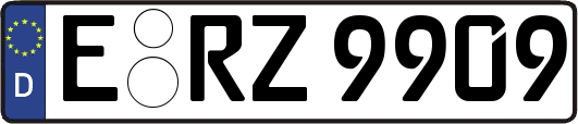 E-RZ9909