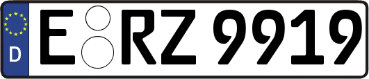 E-RZ9919
