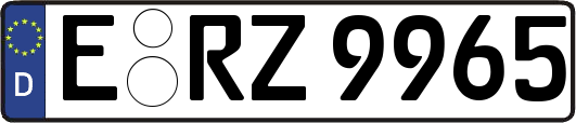 E-RZ9965