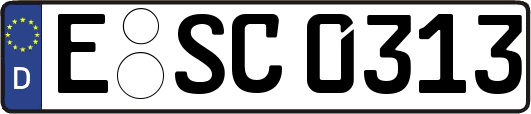 E-SC0313
