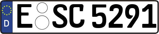 E-SC5291