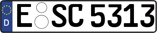 E-SC5313