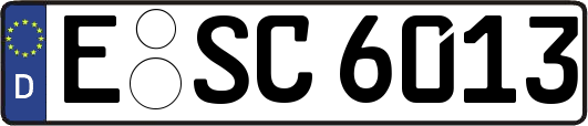 E-SC6013
