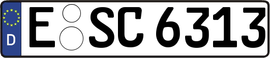 E-SC6313