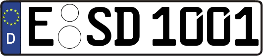 E-SD1001