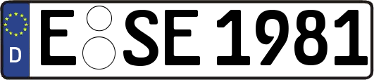 E-SE1981