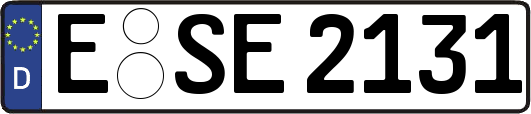 E-SE2131