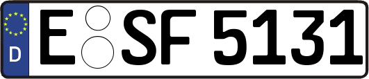 E-SF5131