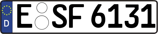 E-SF6131
