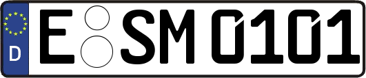 E-SM0101