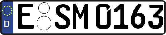 E-SM0163