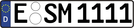E-SM1111