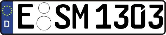 E-SM1303