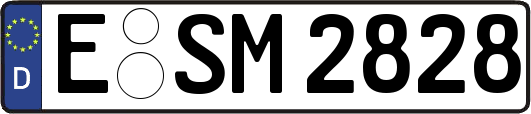 E-SM2828