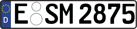 E-SM2875