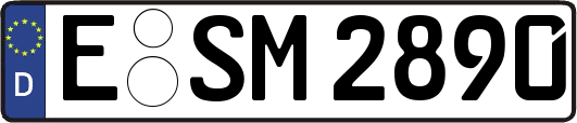 E-SM2890