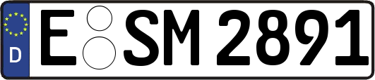 E-SM2891