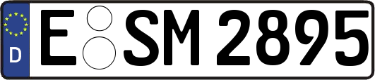 E-SM2895