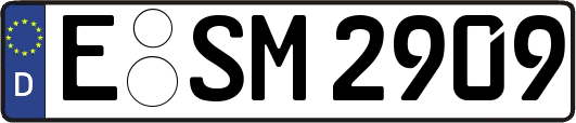 E-SM2909