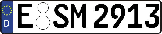 E-SM2913