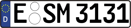E-SM3131